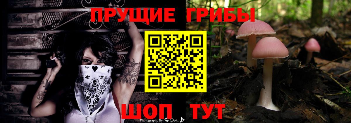 Саки  Галлюциногенные грибы мицелий  Вход с VPN  Псилоцибиновые грибы Psilocybine cubensis 