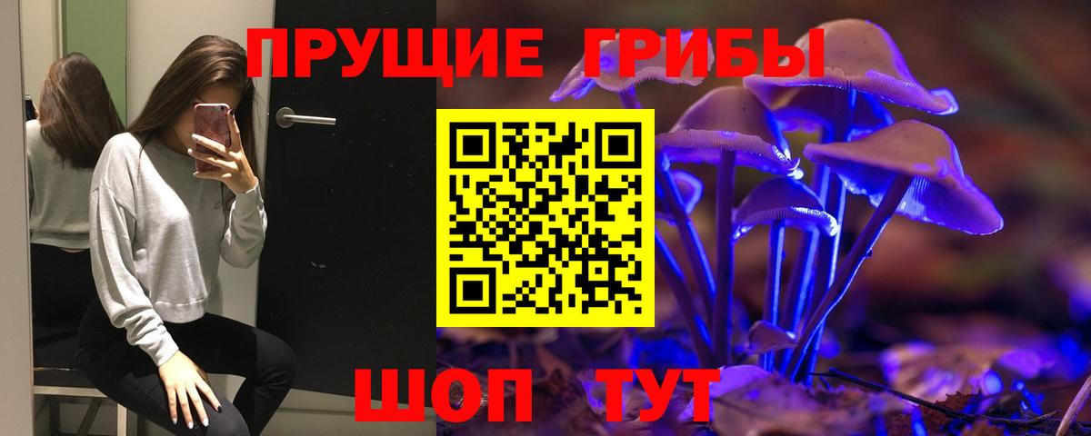 Псилоцибиновые грибы прущие грибы Саки
